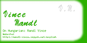 vince mandl business card